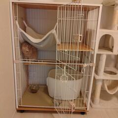 猫ケージ、キャットタワーの画像