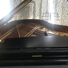 3歳児さんからシニアまでピアノのレッスンをします。の画像
