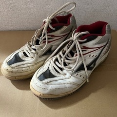 ☆【本日⭕️】テニスシューズ(24.5cm)