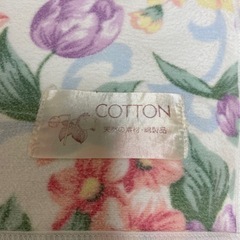 シングル綿毛布・二枚セットの画像