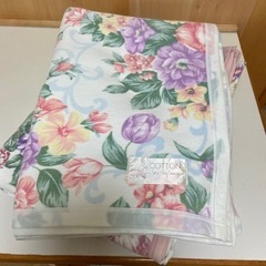 シングル綿毛布・二枚セット