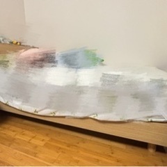 ベット