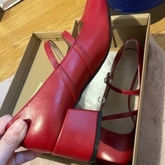 シーインパンプスの画像