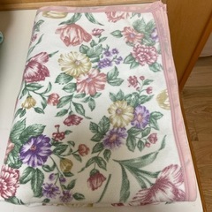 シングル綿毛布・二枚セットの画像