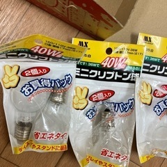 ミニ クリプトン 電球40w&60wの画像