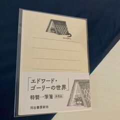 希少・初版本◆エドワード・ゴーリー絵本「思い出した訪問」+非売品ノベルティ2点おまけ付のセット! の画像