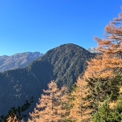 30歳～50歳   愛川町、相模原市住みの方