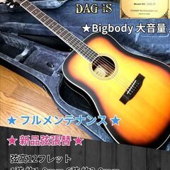 ★BIGBODY 大音量♪★ Donner DAG-1S ★初心...