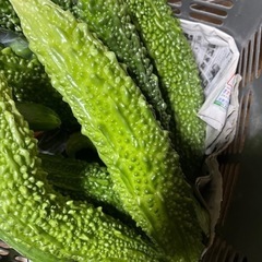 無農薬野菜の画像
