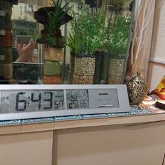募集中／ 電波時計 温湿度時計 電池式 SEIKO セイコー