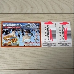 ナガシマスパーランド ジャンボ海水プール チケットの画像