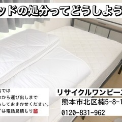 お店があるから安心の業者です☆不用品大型家電家具ゴミから少量単品ゴミ回収処分 買取もできます。0120-831-962 - 熊本市