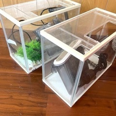 【取引決定】小型水槽×2、底石セットの画像