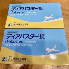 ディアバスター錠 2箱