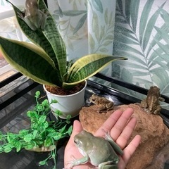 里親募集の画像