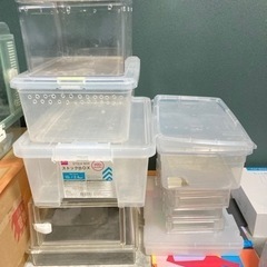 里親募集の画像