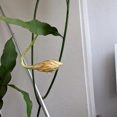 吐き出してください