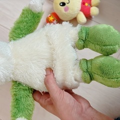 わんわん　いないいないばあっ! NHK Eテレの画像