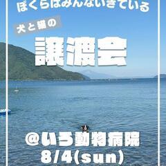 8月4日　犬と猫の譲渡会　@いろ動物病院