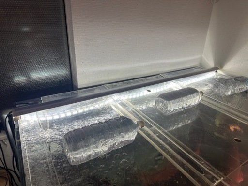 ゼンスイ　150㎝ライト