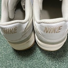 NIKE ガンマフォースの画像