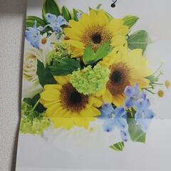 Da-iceの歌、唄える人！