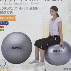 🍎フィットネスボールDX 新品定価￥1998