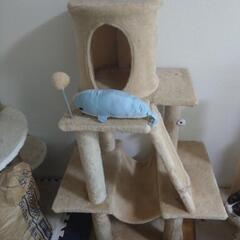 キャットタワー
