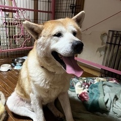 出戻りで再度緊急募集致します😭