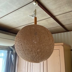 おしゃれな電球カバー(中の電球付き）