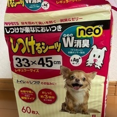 ボンビアルコンのしつけるシーツ レギュラーサイズ60枚