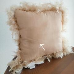 ZARA HOME  フェザークッション ゴールドの画像