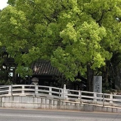 7月24日(水) 石手寺参拝＆お茶会