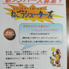ミニバスケットボール　メンバー募集 - 佐倉市