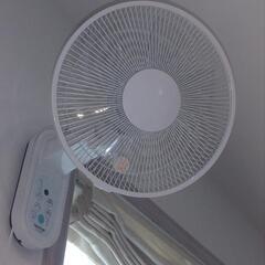 決定。壁掛け式扇風機