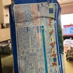 マナーウェア　ワンコ　中型犬の画像