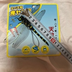1個オニヤンマ　おにやんま　オニヤンマ君　オニヤンマくん　とんぼ...