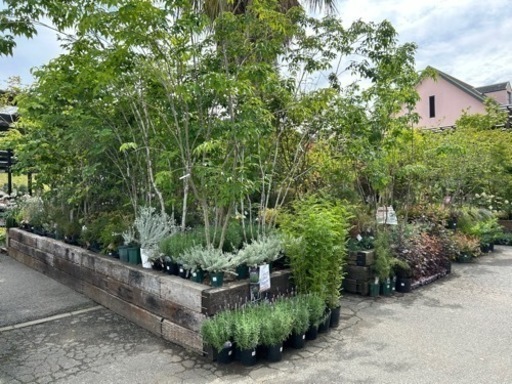【40本以上の方特にお買い得！枕木】お庭をシャビーでアンティーク風なお洒落なお庭にしたい方必見！！　