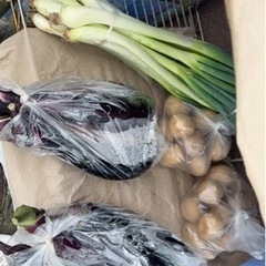 新鮮野菜の画像