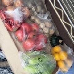 新鮮野菜