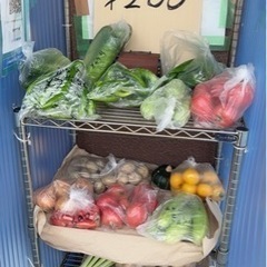 新鮮野菜の画像