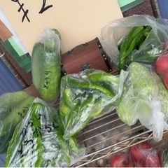 新鮮野菜の画像