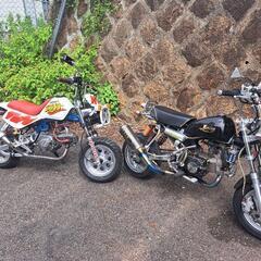 ホンダ　モンキー　モンキーバハ　２台セット
