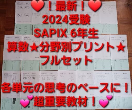 【★最新★2024受験】【未使用多数】Sapix6年 算数 分野別補充プリント ☆最新☆2024受験】【未使用多数】Sapix6年 算数 分野別補充