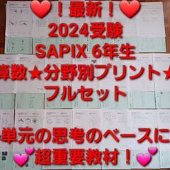 【★最新★2024受験】【未使用多数】Sapix6年 算数 分野...