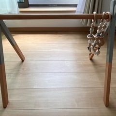 ホップル ベビージム