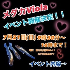 いよいよ今週日曜日💖！メダカイベント😍