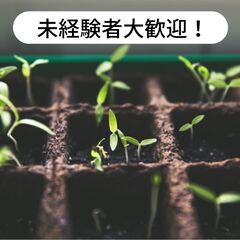 愛媛県宇和島市津島町で野菜等の苗をつくる作業の補助のお仕事！【単...