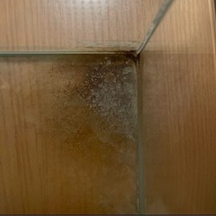 家具 収納家具 収納ケースの画像