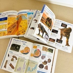 【定価8800円】小学館の図鑑NEO3冊セットの画像